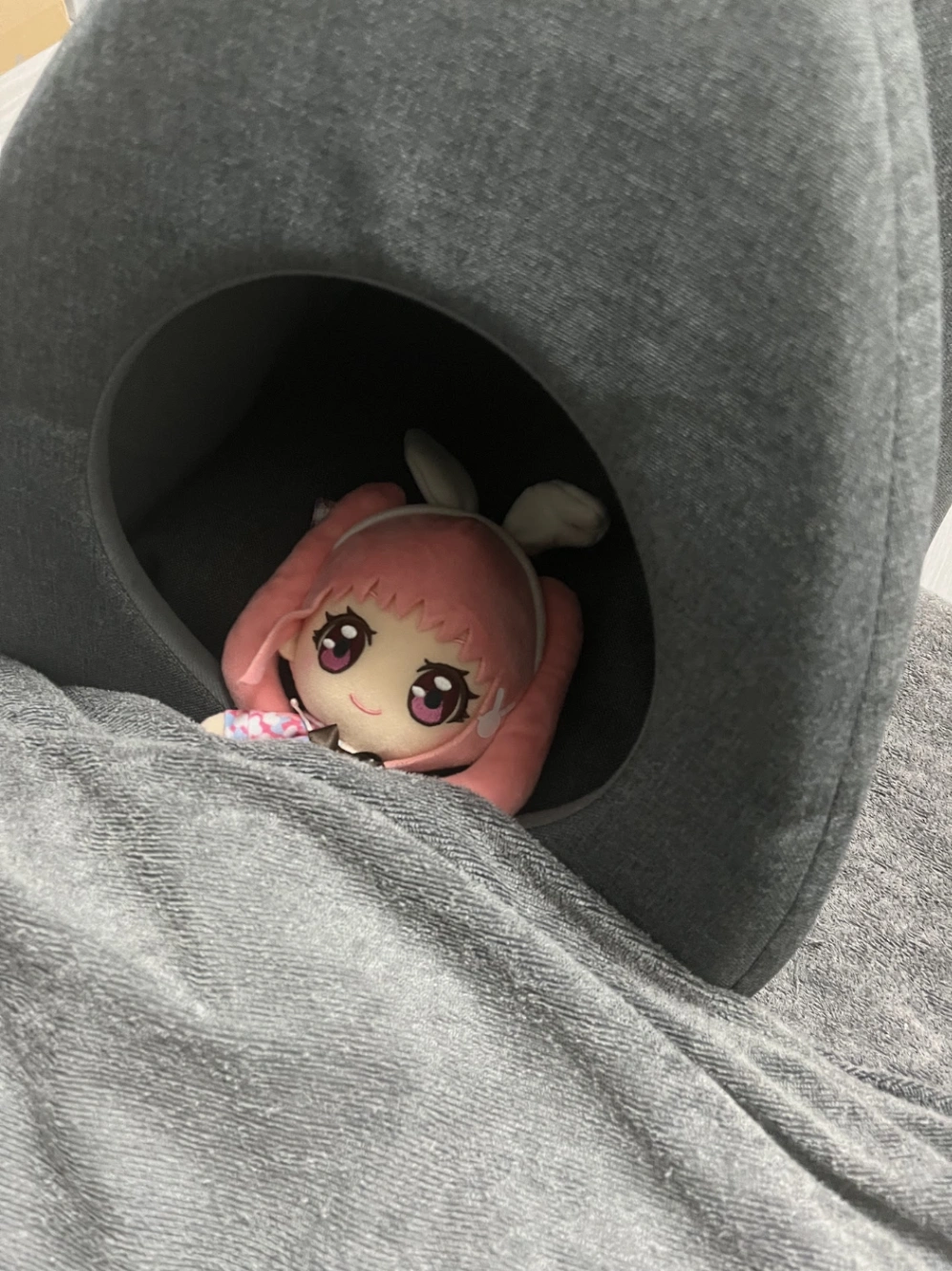 寝てみた